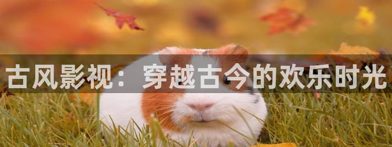 草莓视频xx69