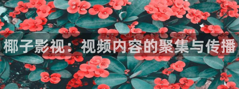 草莓视频2021